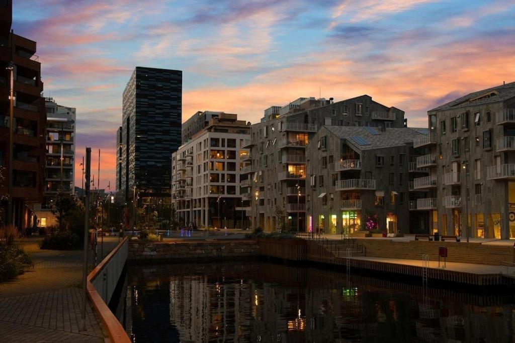 Lovely Central Apartment With Two Large Bedrooms Nearby Oslo Opera, Vis A Vis Botanical Garden Екстер'єр фото