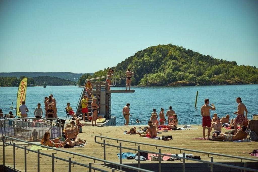 Lovely Central Apartment With Two Large Bedrooms Nearby Oslo Opera, Vis A Vis Botanical Garden Екстер'єр фото